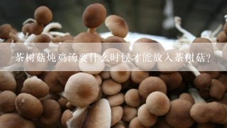 茶树菇炖鸡汤要什么时候才能放入茶树菇？