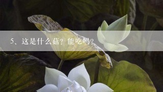 这是什么菇？能吃吗？