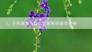 干的菌类为什么比新鲜的菌类更香