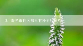 寿光市近区那里有种羊肚菌约