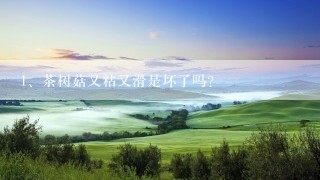 茶树菇又粘又滑是坏了吗？