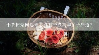 干茶树菇闻起来怎么有一股臭脚丫子味道？