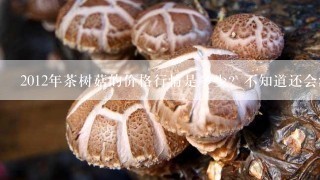 2012年茶树菇的价格行情是多少？不知道还会涨不