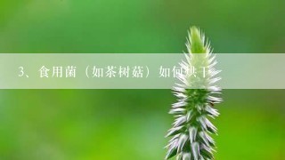 食用菌（如茶树菇）如何烘干