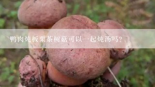 鸭肉炖板栗茶树菇可以一起炖汤吗？