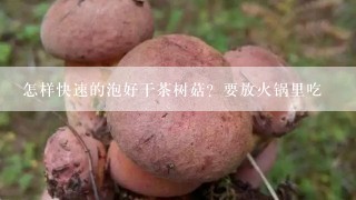 怎样快速的泡好干茶树菇？要放火锅里吃