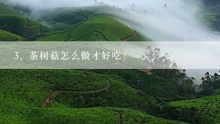 茶树菇怎么做才好吃？