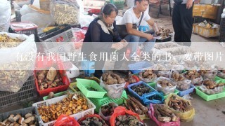 有没有我国野生食用菌大全类的书，要带图片的那种，麻烦各位大大帮忙推荐一本!