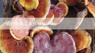 清炖鸭汤怎么炖好喝