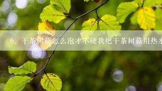 干茶树菇怎么泡才不硬我把干茶树菇用热水泡一晚上过