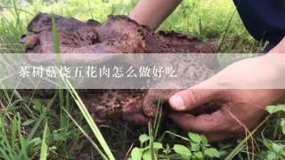 茶树菇烧五花肉怎么做好吃