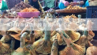 茶树菇香菇能和瘦肉煲汤吗