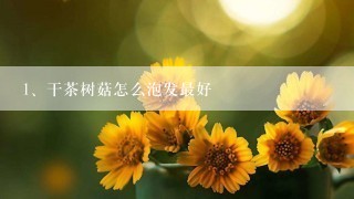 干茶树菇怎么泡发最好