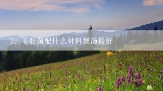 羊肚菌配什么材料煲汤最好