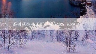 茶树菇炖鸡还可以放什么一起炖？