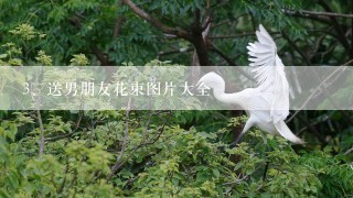 送男朋友花束图片大全