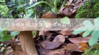 人参鸡汤可以放黄芪和茶树菇吗?