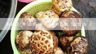 枸杞,红枣,山药,芋头,茶树菇能一起烫汤