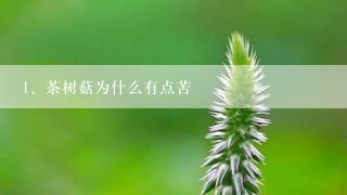 茶树菇为什么有点苦