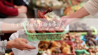 一斤干茶树菇可以泡多少斤