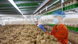 炖老鸭汤需要放什么材料？