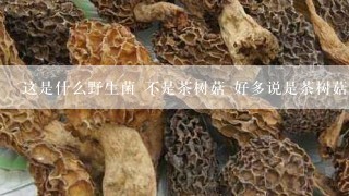 这是什么野生菌 不是茶树菇 好多说是茶树菇 湖北哪些地方有这种野生菌 四川叫青冈菌！！！！