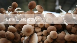 七彩菌菇汤的做法大全？