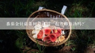 番茄金针菇茶树菇可以一起煮鲫鱼汤吗？