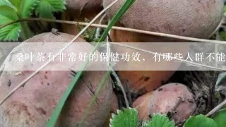 桑叶茶有非常好的保健功效，有哪些人群不能喝呢？