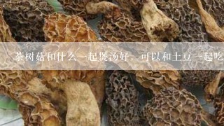 茶树菇和什么一起煲汤好，可以和土豆一起吃吗？