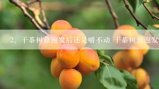 干茶树菇泡发后还是嚼不动 干茶树菇泡发后还是嚼不