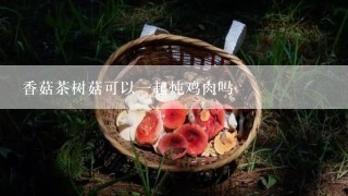 香菇茶树菇可以一起炖鸡肉吗