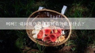 呵呵！请问炖乌鸡和茶树菇汤能补什么？