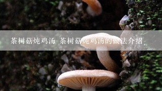 茶树菇炖鸡汤 茶树菇炖鸡汤的做法介绍