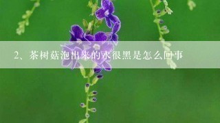 茶树菇泡出来的水很黑是怎么回事