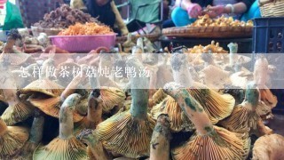 怎样做茶树菇炖老鸭汤