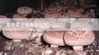 茶树菇干要泡多久呢？