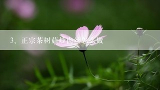 正宗茶树菇炒肉丝怎么做