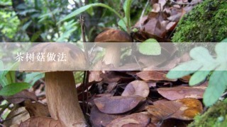 茶树菇做法