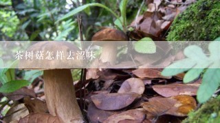 茶树菇怎样去涩味