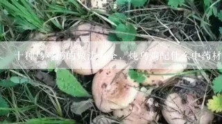 十种乌鸡汤的做法大全，炖乌鸡配什么中药材