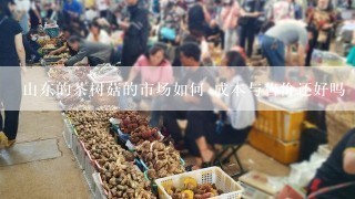 山东的茶树菇的市场如何 成本与售价还好吗