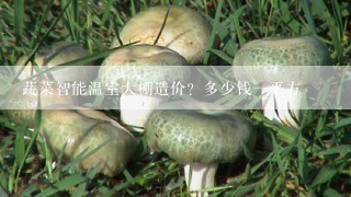 蔬菜智能温室大棚造价？多少钱一平方