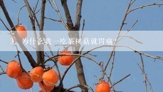 为什么我一吃茶树菇就胃痛？