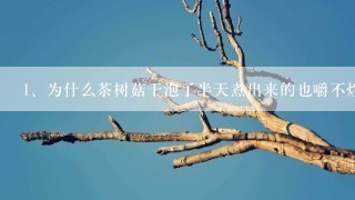 为什么茶树菇干泡了半天煮出来的也嚼不烂呢