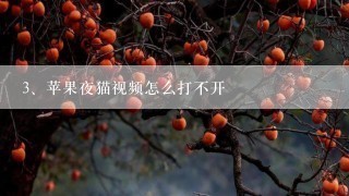 苹果夜猫视频怎么打不开