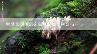 鸭掌苦茭汤怎么做可以加茶树菇吗