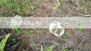 干烧茶树菇怎么做？