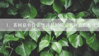 茶树菇和什么煲汤最好喝，茶树菇搭配什么煲汤好