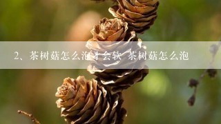 茶树菇怎么泡才会软 茶树菇怎么泡